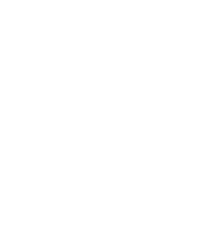 The Scouting Company